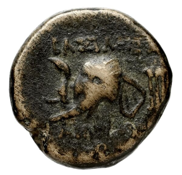 Seleucid Coins (part 2) 1407, реверс, bnf-hrc