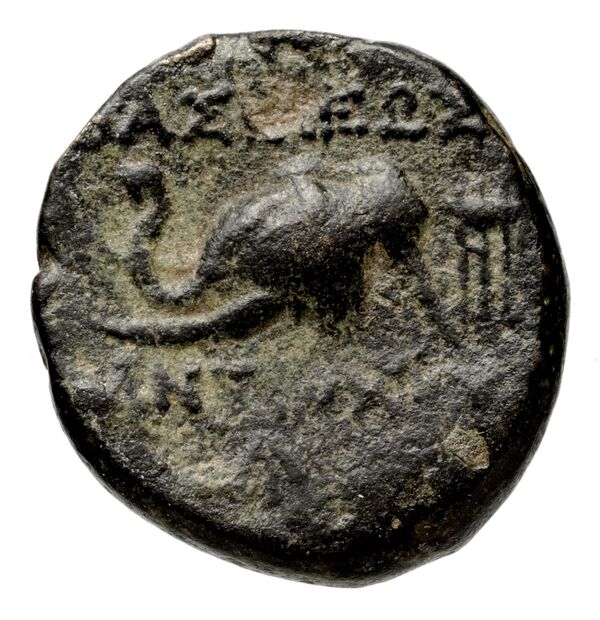 реверс Seleucid Coins (part 2) 1407e