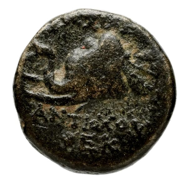 реверс Seleucid Coins (part 2) 1407j