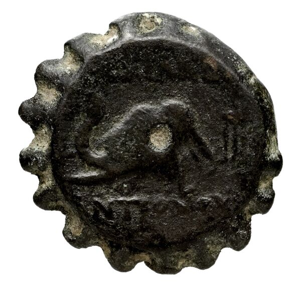 Seleucid Coins (part 2) 1407a, реверс, bnf-hrc