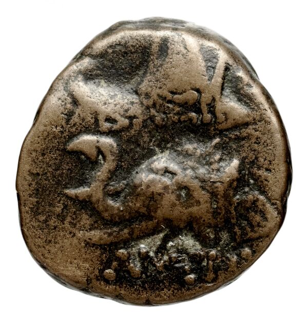 Seleucid Coins (part 2) 1407, реверс, bnf-hrc