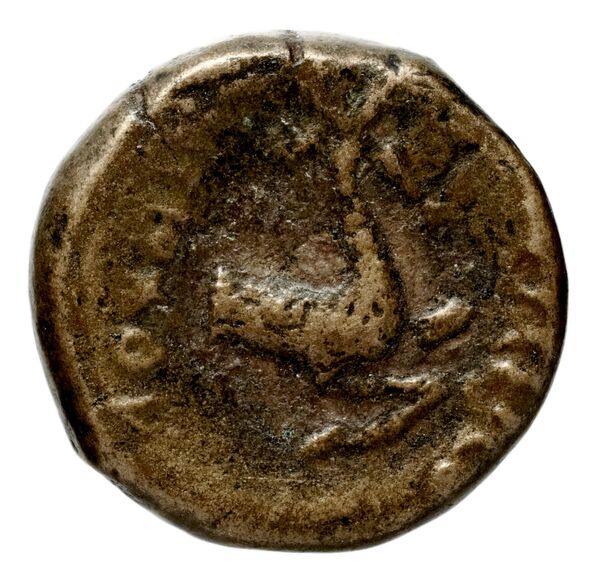reverse Seleucid Coins (part 1) 544