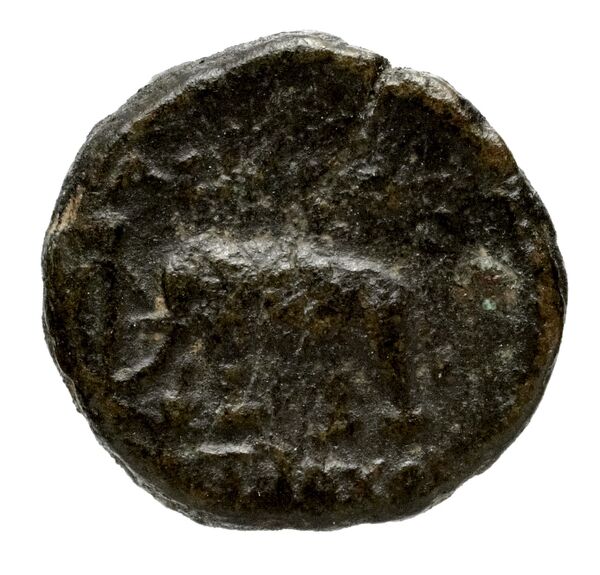 Seleucid Coins (part 1) 979, реверс, bnf-hrc