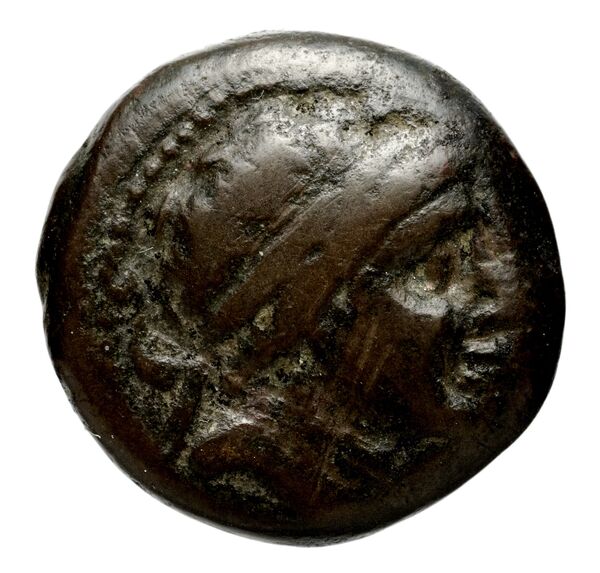 Seleucid Coins (part 1) 608, аверс, bnf-hrc