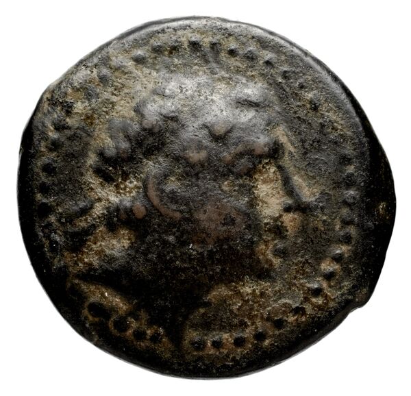 аверс Seleucid Coins (part 1) 1259