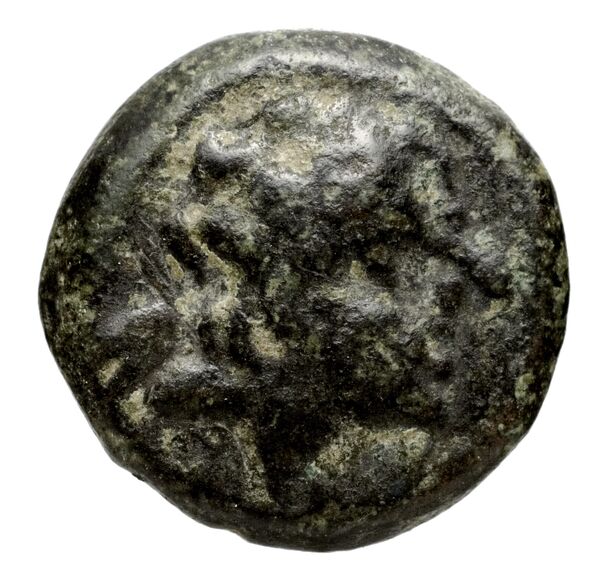 аверс Seleucid Coins (part 1) 1262