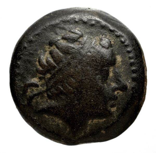 аверс Seleucid Coins (part 1) 1269