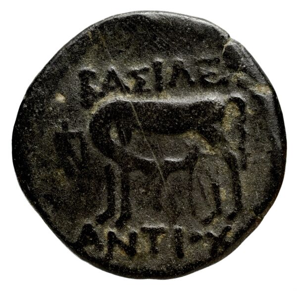 реверс Seleucid Coins (part 1) 1269