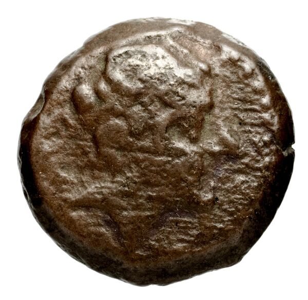 аверс Seleucid Coins (part 1) 1271