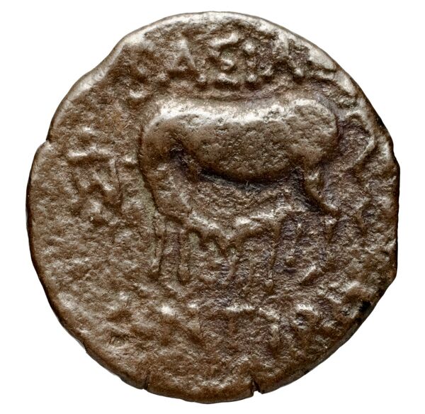 реверс Seleucid Coins (part 1) 1271