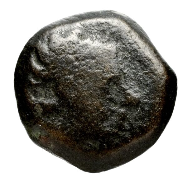 аверс Seleucid Coins (part 1) 1267