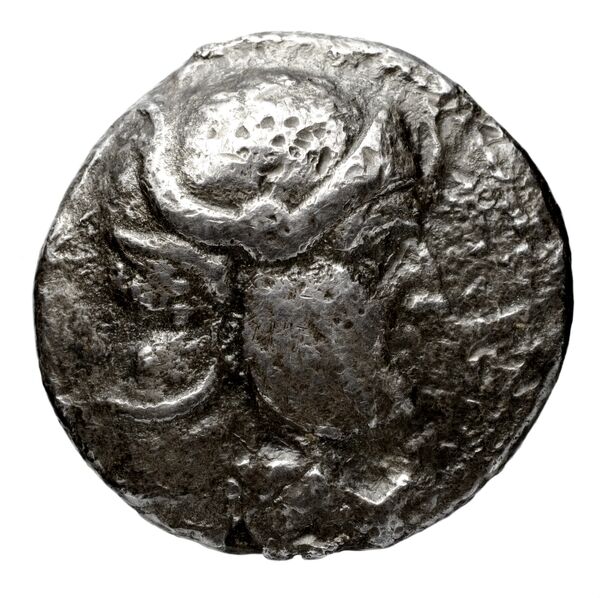 Seleucid Coins (part 1) 173.12, аверс, bnf-hrc