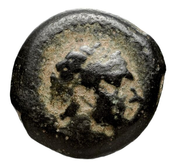 Seleucid Coins (part 1) 1080.1, аверс, bnf-hrc