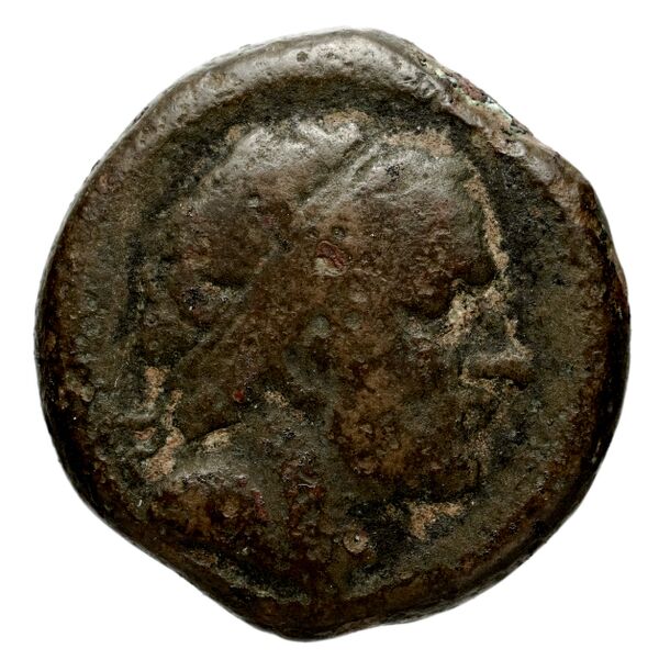 аверс Seleucid Coins (part 1) 1078