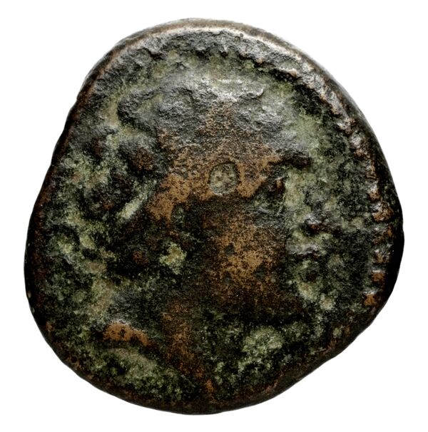 Seleucid Coins (part 1) 1078, аверс, bnf-hrc