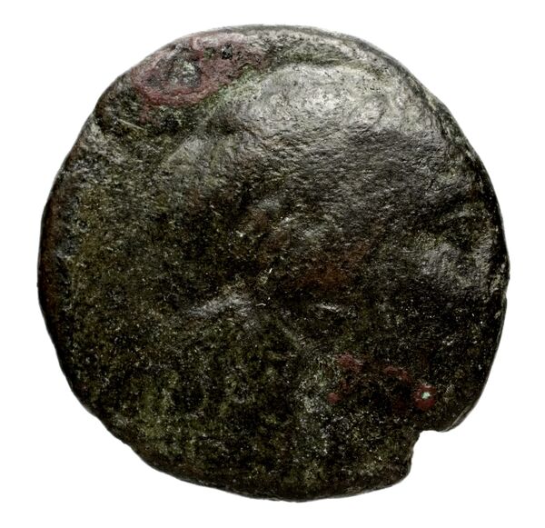 Seleucid Coins (part 1) 955.1, аверс, bnf-hrc