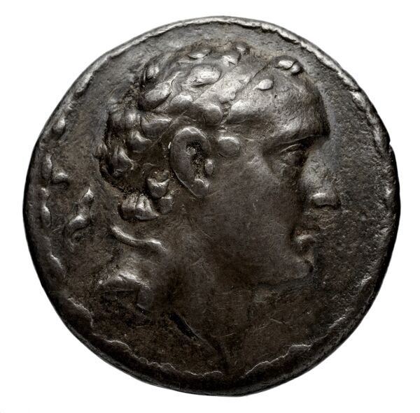 Seleucid Coins (part 2) 1313.1, аверс, bnf-hrc