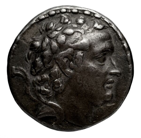 Seleucid Coins (part 2) 1311, аверс, bnf-hrc