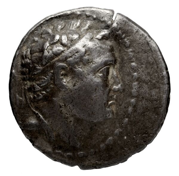 аверс Seleucid Coins (part 2) 1333.2