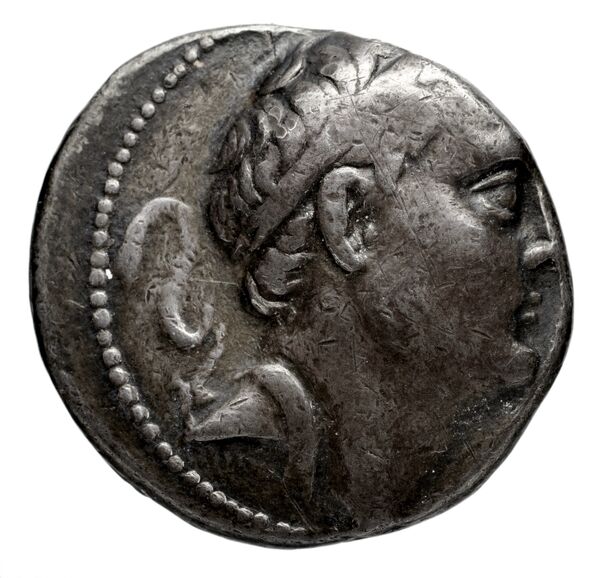 аверс Seleucid Coins (part 2) 1331