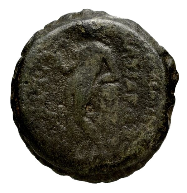 реверс Seleucid Coins (part 2) 1315.6n