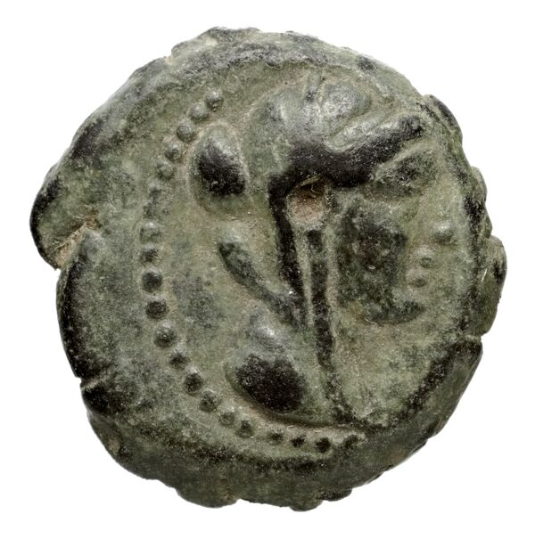 аверс Seleucid Coins (part 2) 1318.4