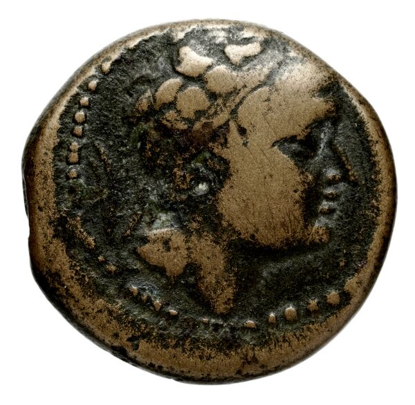 Seleucid Coins (part 2) 1323.2, аверс, bnf-hrc