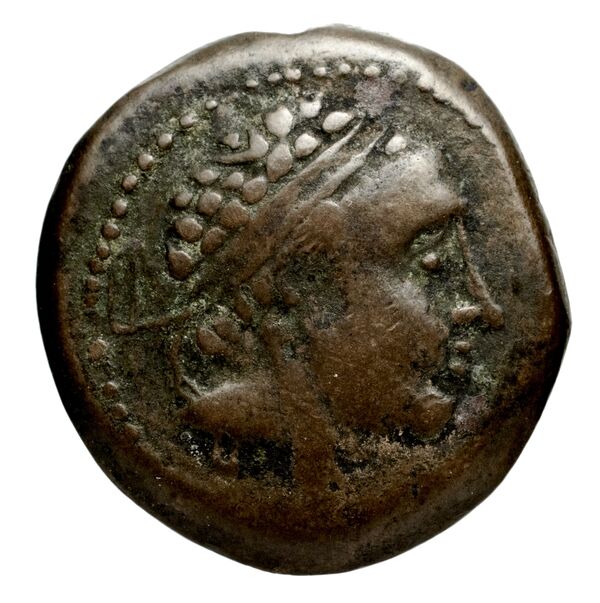 Seleucid Coins (part 2) 1323.2, аверс, bnf-hrc