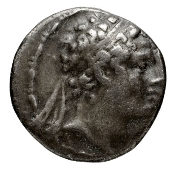 аверс Seleucid Coins (part 2) 1403