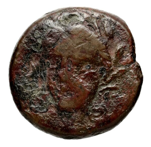 Seleucid Coins (part 1) 771, аверс, bnf-hrc