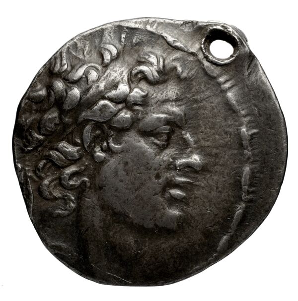 аверс Seleucid Coins (part 2) 1476.1f