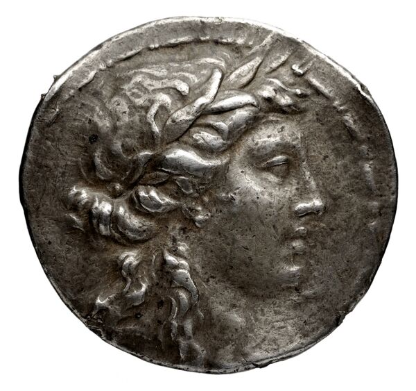 Seleucid Coins (part 2) 1401, аверс, bnf-hrc