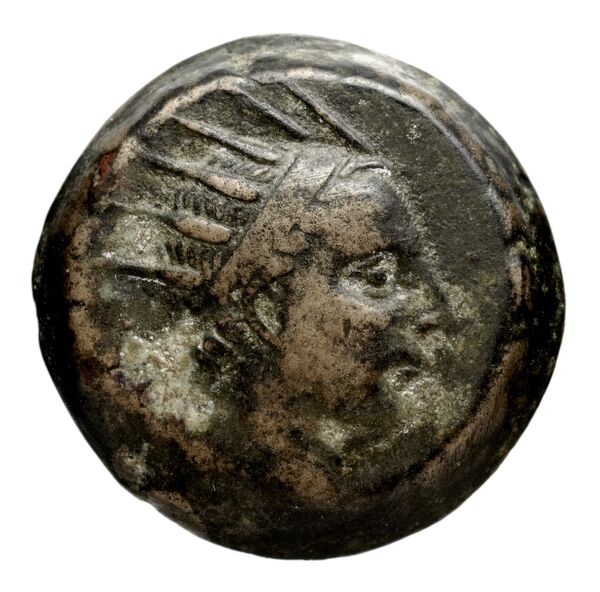 Seleucid Coins (part 2) 1508, аверс, bnf-hrc