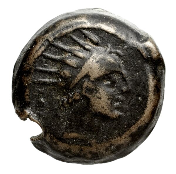 Seleucid Coins (part 2) 1509, аверс, bnf-hrc