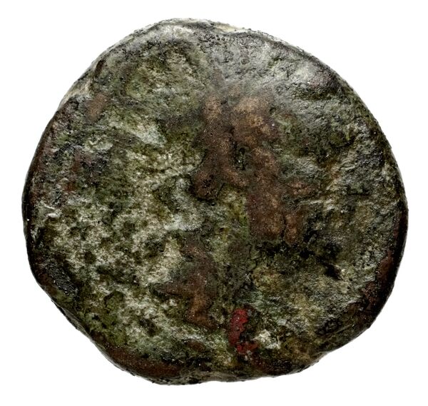 Seleucid Coins (part 2) 1510, аверс, bnf-hrc