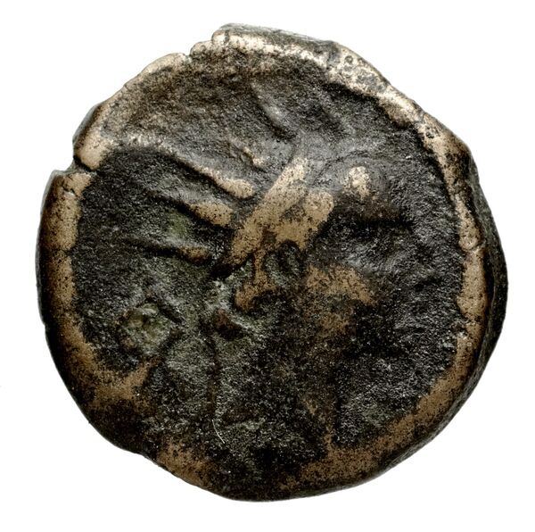 Seleucid Coins (part 2) 1510, аверс, bnf-hrc