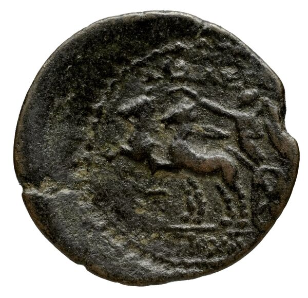 реверс Seleucid Coins (part 2) 1484.2