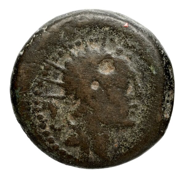 Seleucid Coins (part 2) 1484.2, аверс, bnf-hrc