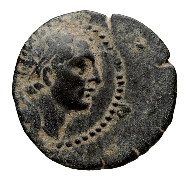 Seleucid Coins (part 2) 1484.2, аверс, bnf-hrc