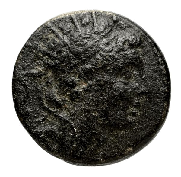 аверс Seleucid Coins (part 2) 1409.2f