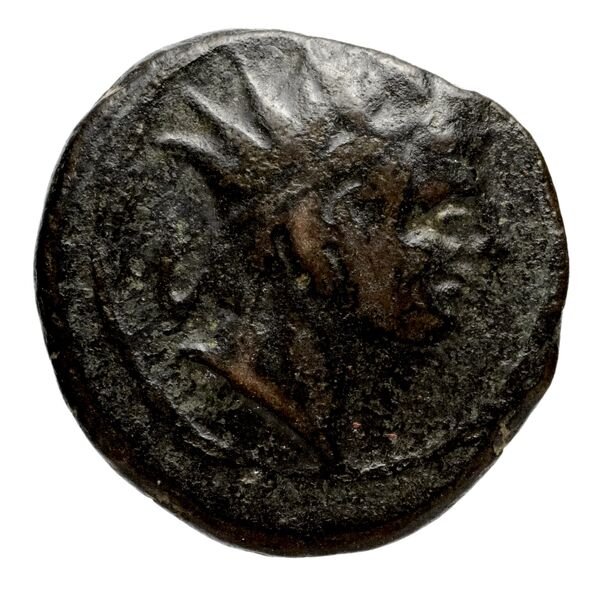 Seleucid Coins (part 2) 1410, аверс, bnf-hrc