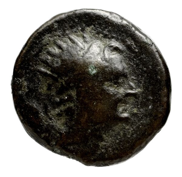 Seleucid Coins (part 2) 1410, аверс, bnf-hrc