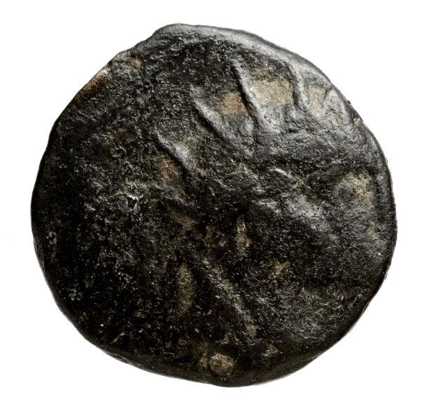 аверс Seleucid Coins (part 2) 1434.3
