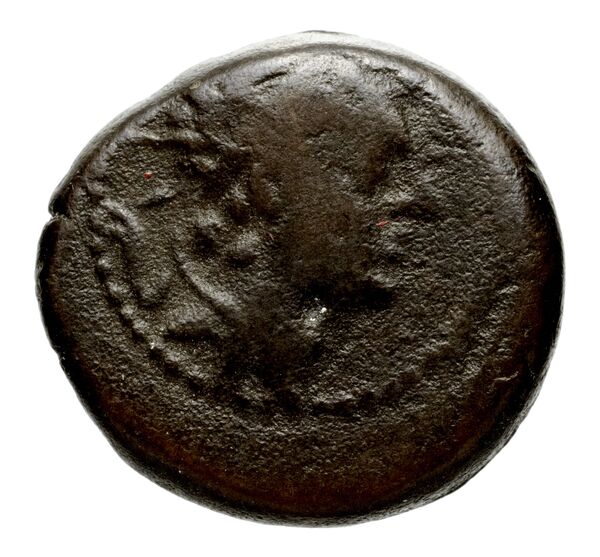 аверс Seleucid Coins (part 2) 1485.2