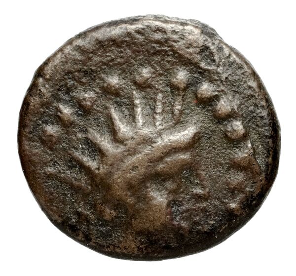 аверс Seleucid Coins (part 2) 2021
