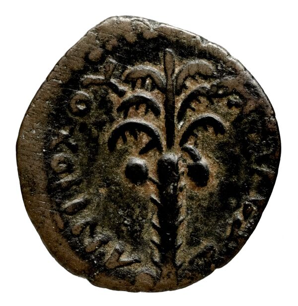реверс Seleucid Coins (part 1) 1081
