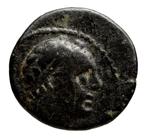 Seleucid Coins (part 1) 1081, аверс, bnf-hrc