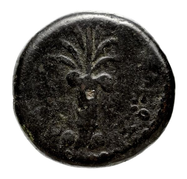 Seleucid Coins (part 1) 1081, реверс, bnf-hrc
