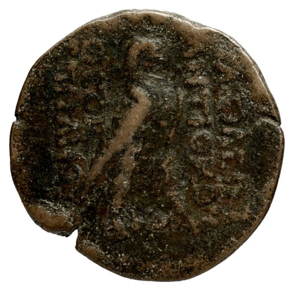 Seleucid Coins (part 2) 1414, реверс, bnf-hrc