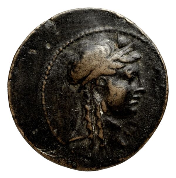 Seleucid Coins (part 2) 1414, аверс, bnf-hrc